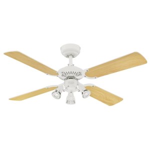Princess Euro 105 cm (42 inch) Indoor Ceiling Fan with Light Kit