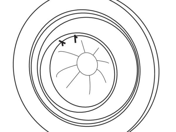 Down Light Brass With White Mounting Collar